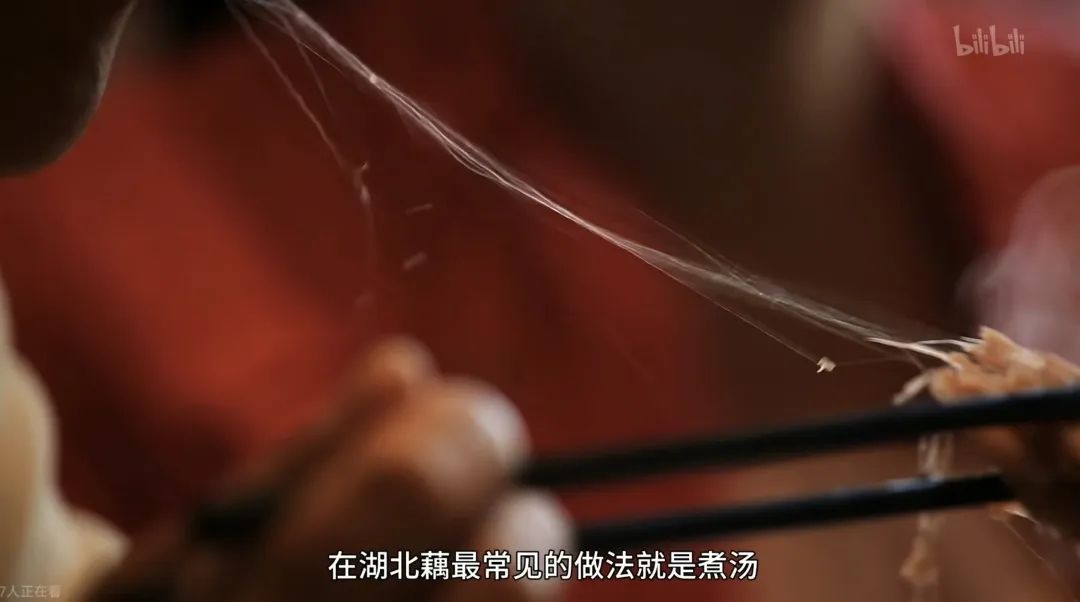 湖北藕汤,火在明天