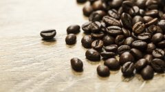 《中国咖啡产业报告2024》正式发布：揭示中国咖