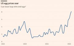 “蛋荒”仍在爆发中，价格创下45年新高！美国人