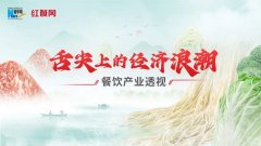 新华网携手红餐网推出《舌尖上的经济浪潮》专
