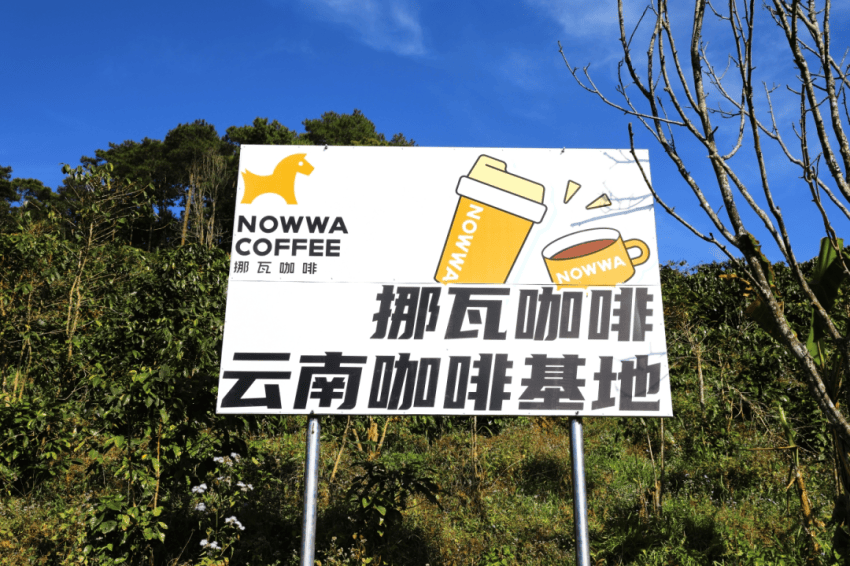 门店营业额涨超460%！今年的餐饮大爆品诞生了？